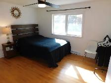 Beautiful Bedford 2bed/1bath APT/Heat-pump - VIDEO TOUR! - Photo 12