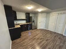 Lake Summerside 3 Bed   Den House – Huge Yard, Double Garage - Photo 10