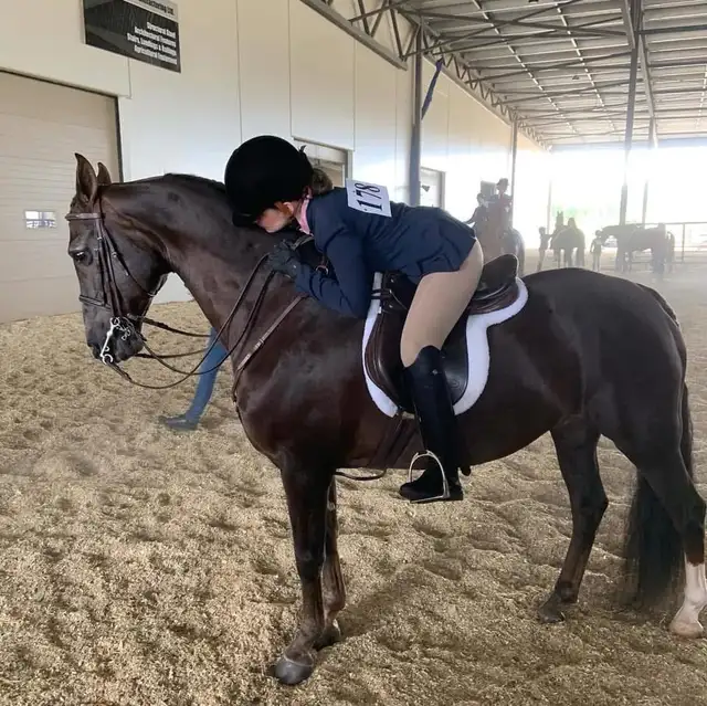 riding lessons all ages!