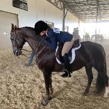 riding lessons all ages!
