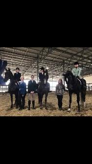 riding lessons all ages! - Photo 2