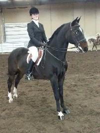 riding lessons all ages! - Photo 3