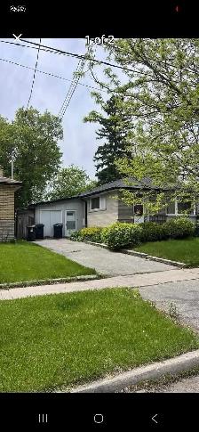 Room for Rent in Scarborough