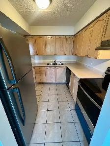 PARK EAST - 1160 Lauzon Rd - Large 2 Bedroom - Photo 7