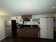 Renovated Bachelor Apartment