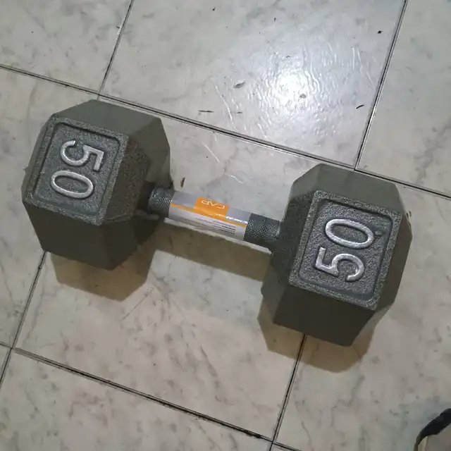 50 pound cast iron dumbbell