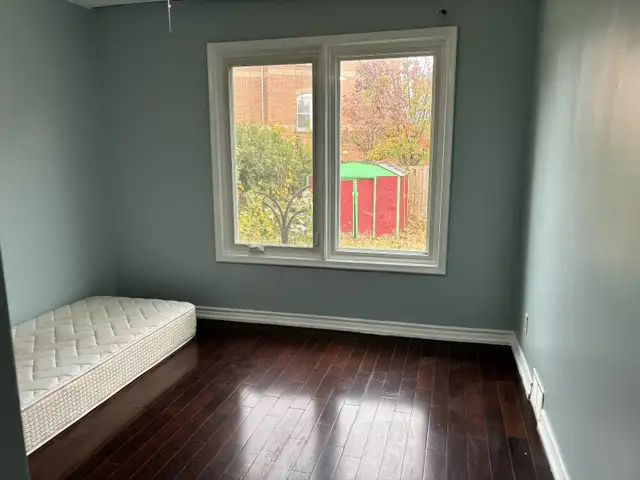 Main Floor Room for Rent from December 1 at Lawrence and Brimley