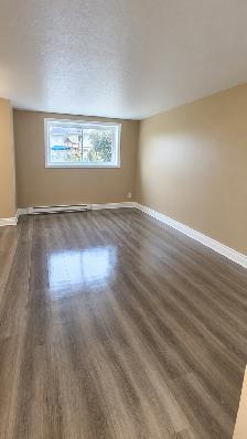 Two bedroom 1 bathroom
