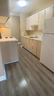Two bedroom 1 bathroom - Photo 2