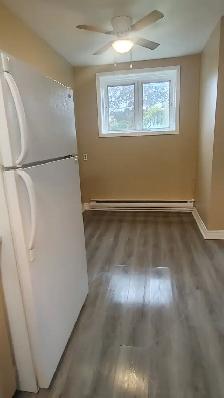 Two bedroom 1 bathroom - Photo 3