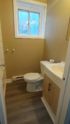 Two bedroom 1 bathroom - Photo 4