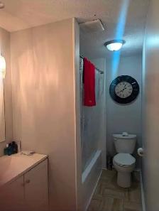 FULL FURNISHED MASTER BEDROOM  (ALL INCLUSIVE) - Photo 6