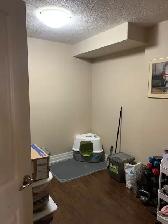 809-55 Yarmouth Street - 809-55 Yarmouth Street Condo for Rent - Photo 14