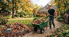 general labor(cash $20/h)