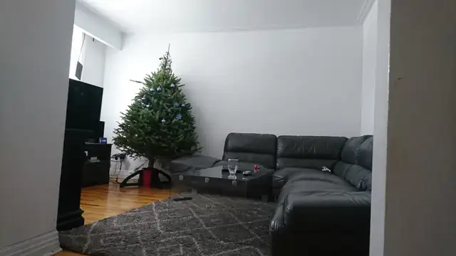 Appartement 5 1/2 à louer pour 1500 $/mois