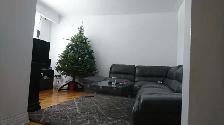 Appartement 5 1/2 à louer pour 1500 $/mois