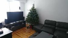 Appartement 5 1/2 à louer pour 1500 $/mois - Photo 2