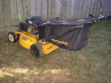 lawnmower - Photo 2