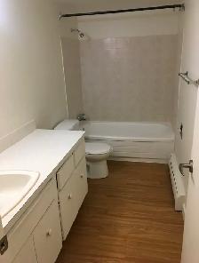 Apartment For Rent/Sublet - Photo 9