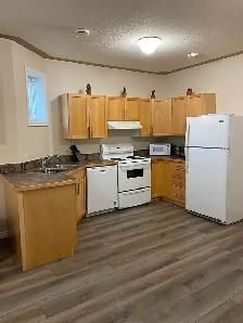 Basement suite - Photo 4