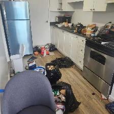 cleaning - Photo 10