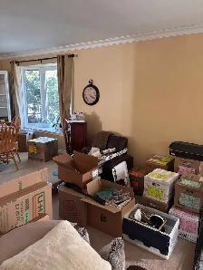 Moving Driver - Cash Pay - Photo 2