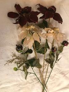 Poinsettias bourgogne/blanc, hauteur 21/26po. 10$ - Photo 2