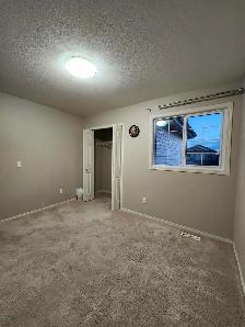 03 Bedroom House for rent - Photo 5