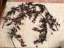 Guirlandes originales 2 de 54po  arrangement floral velours 15$