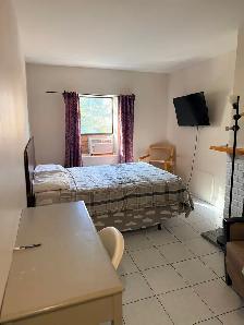 LARGE RENOVATED ROOM IN DOWNTOWN TORONTO - Photo 3