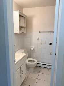LARGE RENOVATED ROOM IN DOWNTOWN TORONTO - Photo 10
