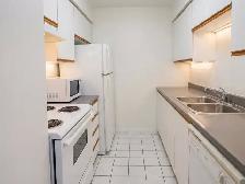 50% 1er Mois - 2 1/2 Metro Papineau Montréal Appartment - Photo 4