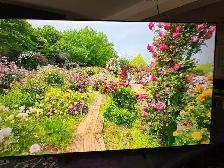 Samsung 75" smart tv like new - Photo 5