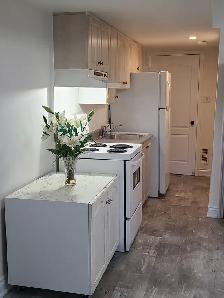 MUST SEE! Bright Walk-Out Bachelor | Steps to Cooksville GO - Photo 2