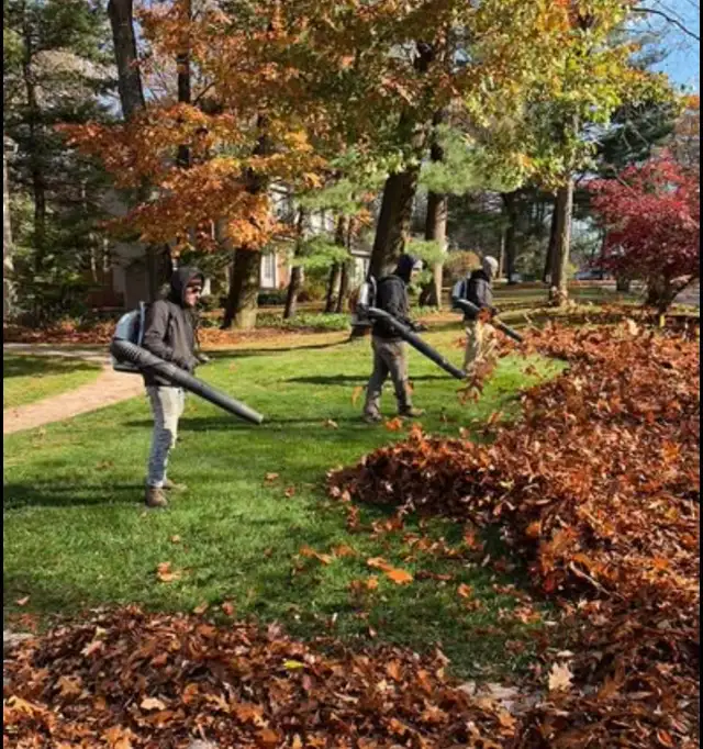 fall clean up