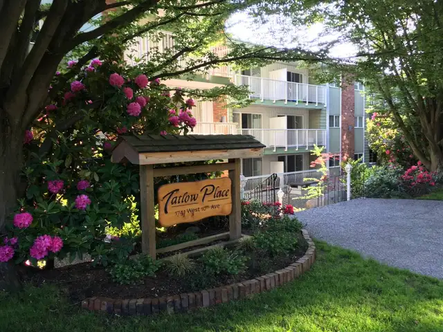 Cat friendly 1 bedroom suite available in Kit's/Fairview!