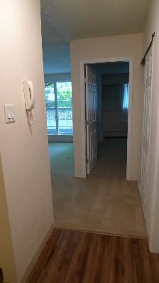 Cat friendly 1 bedroom suite available in Kit's/Fairview! - Photo 2