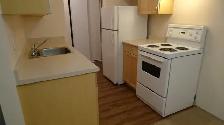 Cat friendly 1 bedroom suite available in Kit's/Fairview! - Photo 3