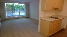 Cat friendly 1 bedroom suite available in Kit's/Fairview! - Photo 4