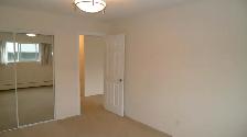 Cat friendly 1 bedroom suite available in Kit's/Fairview! - Photo 5