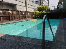 Cat friendly 1 bedroom suite available in Kit's/Fairview! - Photo 8