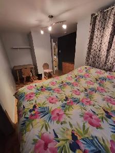 Belles grandes chambre à louer, rue St-Flavien Vieux-Québec - Photo 9