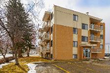 SMALL PETS OK! 1 bed apartment centrally located by RD Hospital!