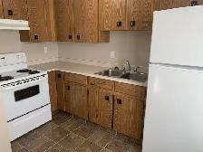 SMALL PETS OK! 1 bed apartment centrally located by RD Hospital! - Photo 2