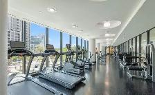 FULLY FURNISHED DOWNTOWN TORONTO CONDO - Photo 10
