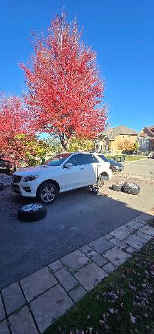 SEASONAL TIRE CHANGE