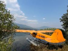 Piper PA11 Cub - Photo 6