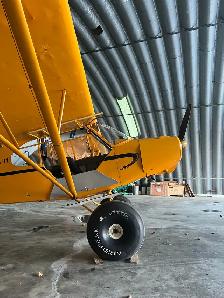 Piper PA11 Cub - Photo 8