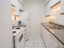 50% 1er Mois - 2 1/2 Metro Papineau Montréal Appartment - Photo 4