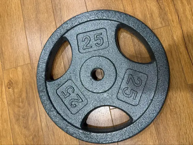 Weight Plate 25 lb — 1 Inch Standard, Cast Iron Grip Plate